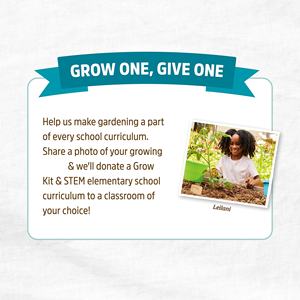 Ensemble de 5 variétés de kits de légumes biologiques en promotion, idéaux pour la culture de légumes en pot ou en <span class=keywords><strong>potager</strong></span> extérieur - Product Image 5