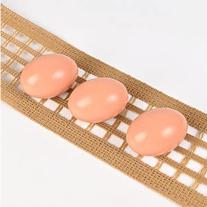 Cinta Transportadora de <span class=keywords><strong>Huevos</strong></span> Tejida Personalizable, de Alta Calidad y Duradera, de Poliéster, para Granjas Avícolas, Cinta Automática para la Recolección de <span class=keywords><strong>Huevos</strong></span> - Product Image 5