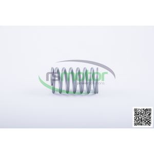 High Quality RS-254403 <b>Valve</b> Spring for Industrial Use Jenbacher <b>Control</b> <b>Valve</b> - Product Image 5