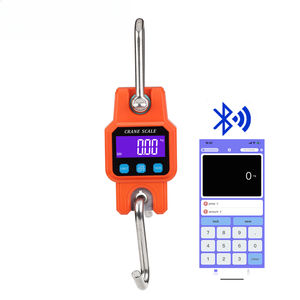 USB 충전식 WH-C06 LCD ABS 플라스틱 스테인레스 스틸 ROHS 인증 300KG 전자 교수형 크레인 무게 규모 660LBS - Product Image 1