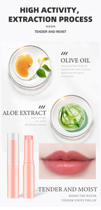 Venta caliente Etiqueta Privada bálsamo de mantequilla de labios afrutado hidratante miel cuidado de labios al por mayor bálsamos de labios superiores naturales - Product Image 6