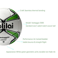 Ballon de football en TPU thermocollé sans couture, taille standard 5, pour adultes, entraînement sur gazon, compétition sportive en plein air