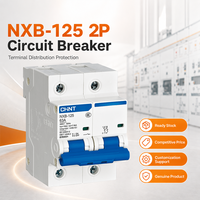 Disjoncteur modulaire certifié CHINT NXB-125 Type C avec approbation CE CCC pour la distribution de bornes