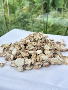 <span class=keywords><strong>ชา</strong></span>สมุนไพรไทย ข่าแห้งหั่นเป็นชิ้น ดาซานไน อบแห้ง - Product Image 5