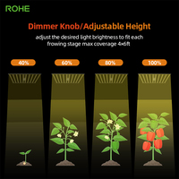 ROHE 1000W Volspectrum LED Kweeklamp 10-Bar voor Hydroponics Hoogste Efficiëntie Aanpasbare Indoor Tuin Kweeklamp