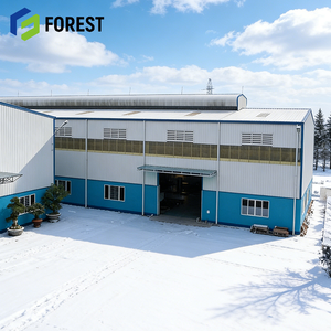 Edificio Prefabricado de Acero para Fábrica Textil en Francia, Ontario, Taller Industrial de Alta Resistencia con Panel EPS Global - Product Image 1