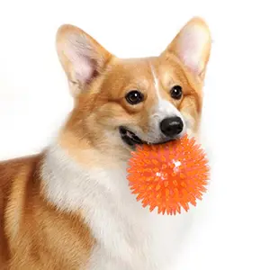 Palle stridule per cani giocattoli da masticare per cuccioli di gomma dentizione giocattolo interattivo con palla rimbalzante per cani masticatori aggressivi