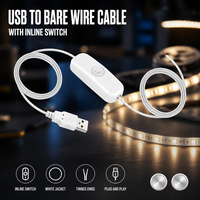 Câble USB mâle vers fils nus avec interrupteur intégré pour bande LED, lampe, projets DIY, vente en gros, blanc