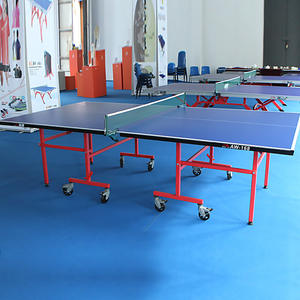 Table de ping-pong Double Fish AW 168 pliable, mobile, pour l'intérieur et l'extérieur, taille standard avec housse, équipement de fitness - Product Image 1