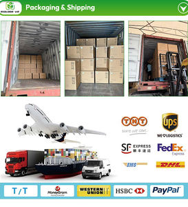 Aspiradora Inalámbrica Multisuperficie, Kit de Cepillos 4 en 1, 15Kpa, 30 Minutos de Autonomía, Ligera, para Pisos de Madera y Alfombras - Product Image 4