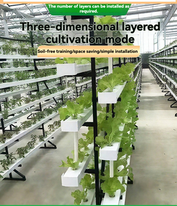 Sistema NFT vertical hidropónico de plástico para invernadero grande industrial con tubos dobles para cultivo de fresas - Product Image 2
