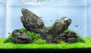 Aquariumsubstraat Bodemgrind Voor Natuurlijk Aquatisch Zoetwater Geplant Aquarium - Product Image 6