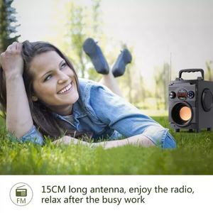 A15 Caja Para Altavos De Madera Altavoz De Karaoke Baffle Bluetooh Avec Micro Sans Fil Altavoz Con Micrófono Para Familia Ktv Party - Product Image 5