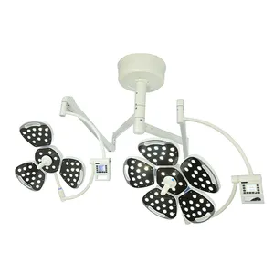 Double Dome Head Chirurgische Licht decke Schatten lose Operations lampe Chirurgie LED-Operations leuchte