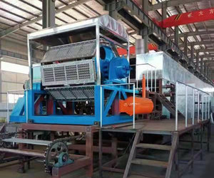 Doanh Nghiệp Nhỏ Giấy Thải Tái Chế Trứng Hộp Carton Khay Trứng Máy Làm Tại Trung Quốc - Product Image 3