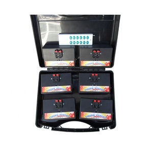 Système de tir à distance ALi AN02R-6 12Cue 2 canaux avec allumage rapide et effets d'étincelles pour spectacles pyrotechniques événementiels - Product Image 2
