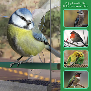 Asılı pencere Hummingbird papağan kuş su besleyici çevre dostu Modern tasarım plastik pleksiglas kuş kafesi besleyici - Product Image 5