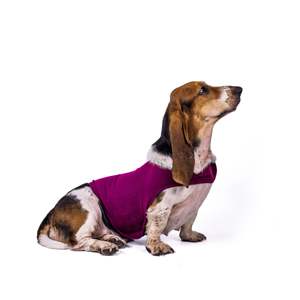 Ropa de Algodón para Perros Después de la Cirugía, Paquetes de Tela para Mascotas, Traje de Recuperación para Perros, Apto para Perros <span class=keywords><strong>Garfi</strong></span> Corgi - Product Image 6