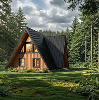 Cabane triangulaire préfabriquée moderne en acier léger de 2022 pieds carrés avec toit et bardage métalliques pour vacances en forêt