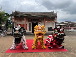 Costume de danse du lion pour <span class=keywords><strong>adulte</strong></span>, célébration du Nouvel An <span class=keywords><strong>chinois</strong></span>, mascotte, patrimoine culturel immatériel, costume de performance de danse du lion - Product Image 2