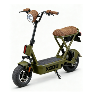 Vente directe d'usine, scooter électrique pas cher à 2 roues, vélo électrique avec pneus à vide de 14 pouces, 2 places, 48V 350W, vélo de ville électrique pour adultes - Product Image 2
