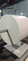 Rouleau de fond de gobelet en papier vierge recyclable imperméable à une face, enduit de PE de qualité alimentaire, pour la fabrication de gobelets en papier biodégradable