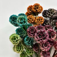 Kerajinan Tangan Bunga Kering Buah Anggur, Bahan Kerajinan Penyerap Warna, Serangga Pinecone, Dekorasi Rumah, Bunga Awet, Grosir