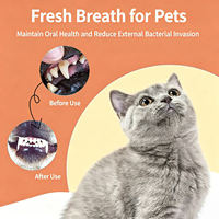 Brume buccale sans rinçage OEM/ODM pour animaux de compagnie, pour l'hygiène buccale quotidienne, blanchit les dents, réduit l'accumulation de plaque et de tartre