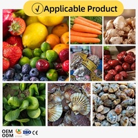 SUS304 Gemüseverarbeitungsanlage Gemüse-Blasenwaschmaschine Obstwaschlinie