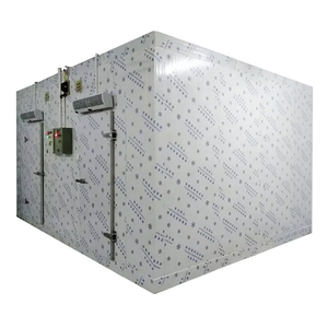 Contenedor Refrigerado <span class=keywords><strong>de</strong></span> 20 pies y 40 pies, Cámara Frigorífica <span class=keywords><strong>de</strong></span> <span class=keywords><strong>Segunda</strong></span> <span class=keywords><strong>Mano</strong></span>, Pintado y con Logotipo Personalizado - Product Image 1