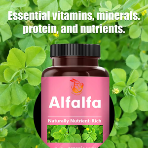 Complément minéral de haute qualité : Capsules d'alfalfa pour adultes – Améliore le système immunitaire et soutient la santé digestive – 90 gélules - Product Image 5