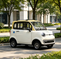Mini voiture électrique tout-terrain, véhicule utilitaire électrique à 4 roues, SUV électrique compact, petit véhicule électrique tout-terrain