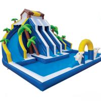 Toboggan aquatique gonflable commercial en PVC, thème dauphin tropical, double piste, capacité 500 kg, garantie 3 ans pour l'eau