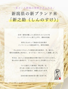 Nettoyant Visage Liquide Moussant à l'Extrait de Riz Japonais 100ml – Hydratant Nourrissant pour Peaux Sensibles et Tous Types de Peaux – Sans Parabène - Product Image 2