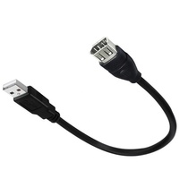 Firewire IEEE 1394 6 broches femelle vers USB 2.0 AM câble adaptateur mâle câble d'extension pour appareils photo numériques