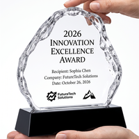 Trophée en cristal iceberg haut de gamme, 5 styles disponibles, grande surface de gravure, récompense pour événements sportifs et reconnaissance d'entreprise