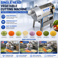 Industriële aardappel- en groentesnijmachine, snijdt, raspt, dooit, multifunctionele voedselverwerkingsapparatuur, 220V/380V, fabriek