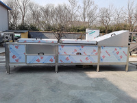 Continue Automatische Voor Het Bleken Van De Koelmachine Voor Het Bleken Van Groenten En Fruit Met Grote Capaciteit
