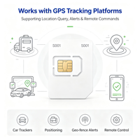 Carte SIM IoT S001 pour traceur GPS de moto, données SMS, couverture mondiale 2G 3G 4G
