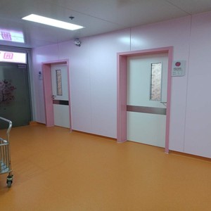 Unité de sécurité personnalisée Devis de porte de soins de santé sans couture Portes d'hôpital en aluminium de laboratoire légères - Product Image 2