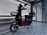 Moto électrique, vélo électrique avec contrôleur 9 tubes, frein à disque avant et arrière, suspension intégrale, scooter électrique