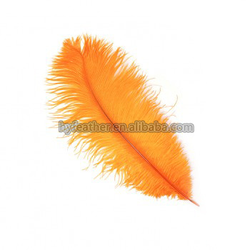 4 orange