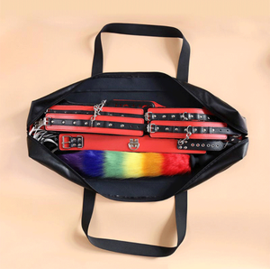 Sex Toy Ball Bag