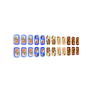 24 pezzi di pittura a olio del mondo animale europeo unghie indossabili vendita calda ispirata unghie artificiali piccolo disegno corto - Product Image 4