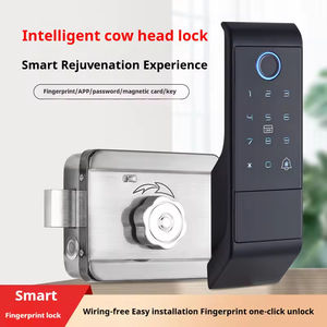 केसमैन सोर्स प्राइस बुल हेड रिम स्मार्ट डोर लॉक आउटडोर वाटरप्रूफ मानक मोरीटेज़ लीट्रोनिक रिम लॉक - Product Image 4