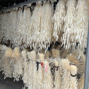 Bouquet de lagure ovale, 60 styles, 50 pièces, pot de fleurs, queue de lapin, herbe pour décoration de mariage - Product Image 1