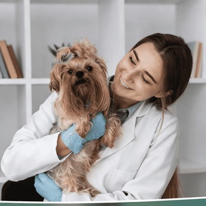 ยาเคี้ยวป้องกันเห็บหมัดสำหรับสุนัข OEM ผสมน้ำมันปลาและวิตามินอี เสริมสร้างภูมิคุ้มกัน บำรุงผิวหนังและขน ป้องกันโรคทางปาก - Product Image 3