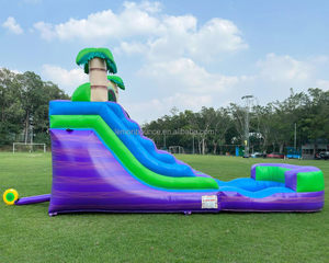 <span class=keywords><strong>Achat</strong></span> direct usine : Toboggan aquatique <span class=keywords><strong>gonflable</strong></span> violet tropical de qualité commerciale pour jeux aquatiques en extérieur et location professionnelle - Product Image 3