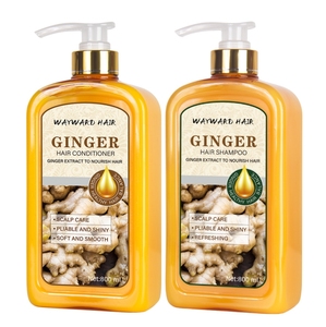 Champú Natural de Jengibre - Product Image 1