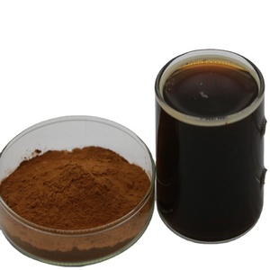 100% 천연 차가 버섯/이노투스 Obliquus 추출물; 차가 다당류 - Product Image 2